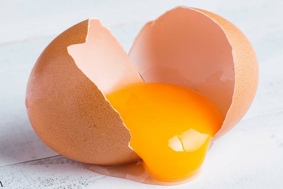 Egg Yolk Compound Shows Promise in Osteoporosis Management