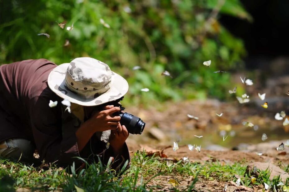 Ethical Wildlife Viewing in America: What Pro Guides Do-and Don’t - Author Kathy Haan