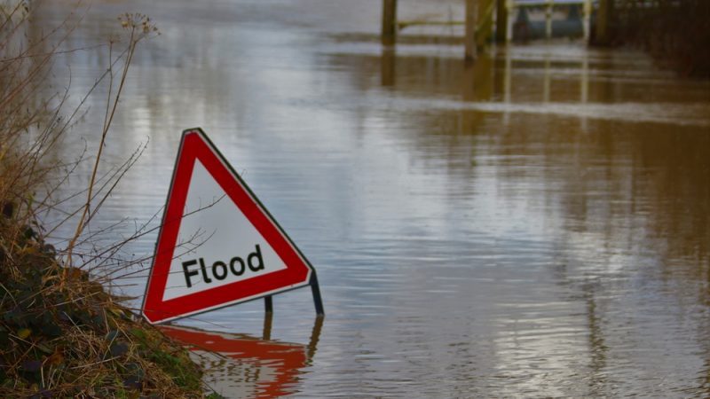 'From town halls to Whitehall: climate and nature action must start locally' - LabourList