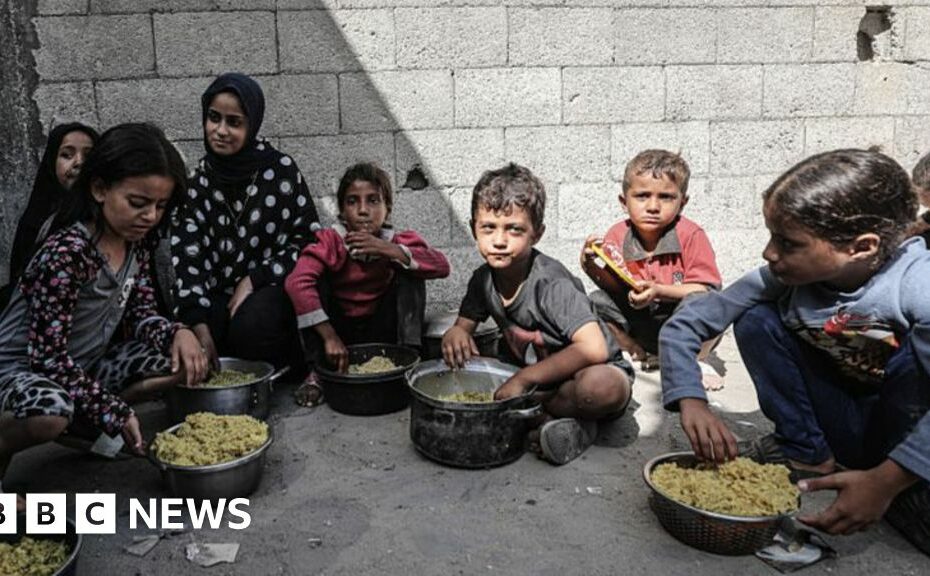 Gaza health crisis will last for 'generations', WHO chief warns