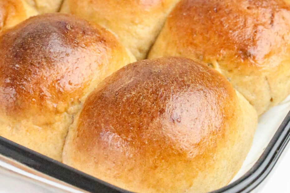 Fresh baked rolls made with whole wheat flour in a baking dish.