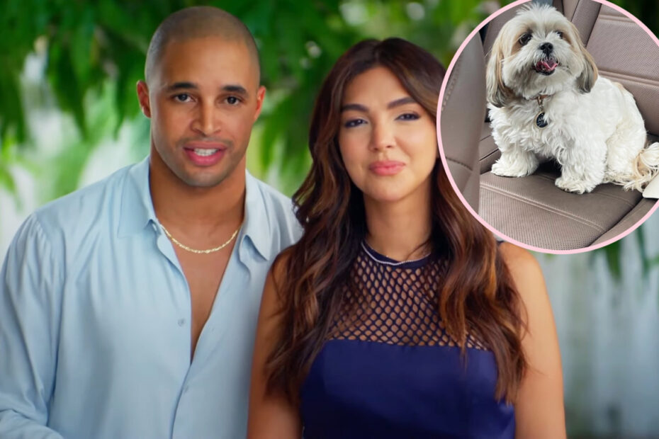 HGTV Stars Claim Their Dog Died While With Sitter - Who Tried To Cover Up The Horrible True Story! - Perez Hilton