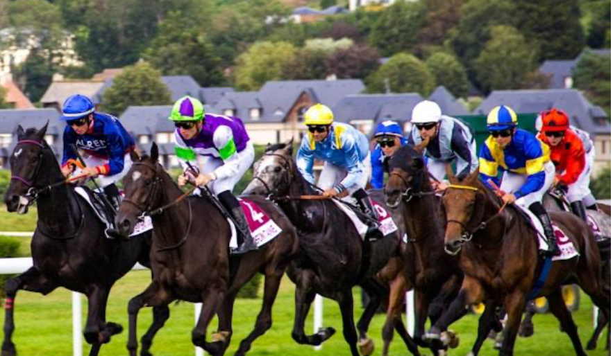 How Bettors Evaluate Major Contenders Before Headline Races