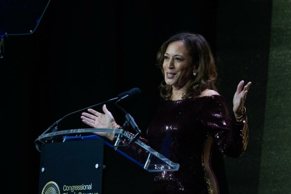 Kamala Harris says Democrats 'are standing up for working people' in government shutdown