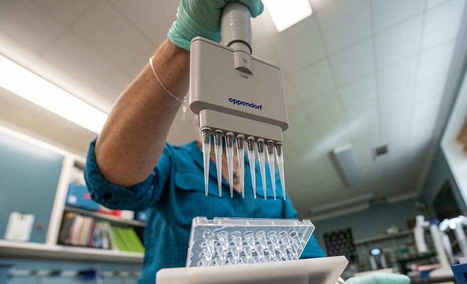 Mexico’s scientists urge rules on gene-edited crops