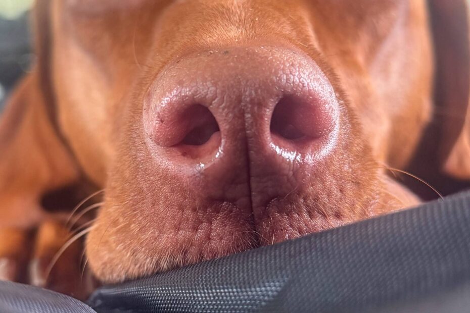 My “What’s Working” List: Fall Edition