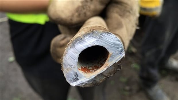 Some Canadian communities make it mandatory for homeowners to replace lead pipes. Do such bylaws work? | CBC News