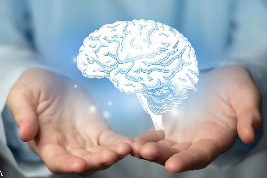 The Mystery of Transplanted Consciousness - When Organs Transfer More Than Function