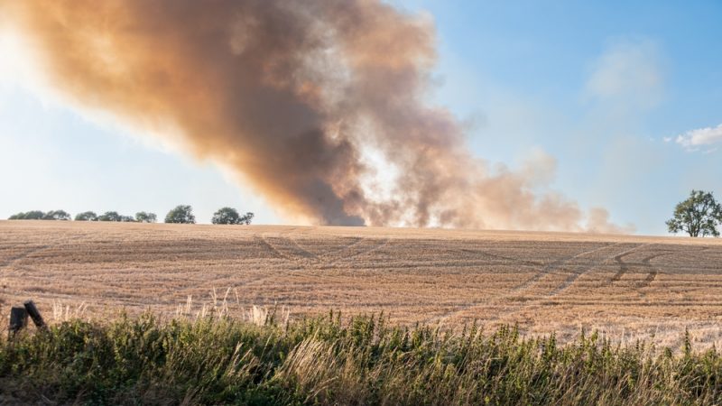'This is Britain's quiet emergency. We must act together to end it' - LabourList