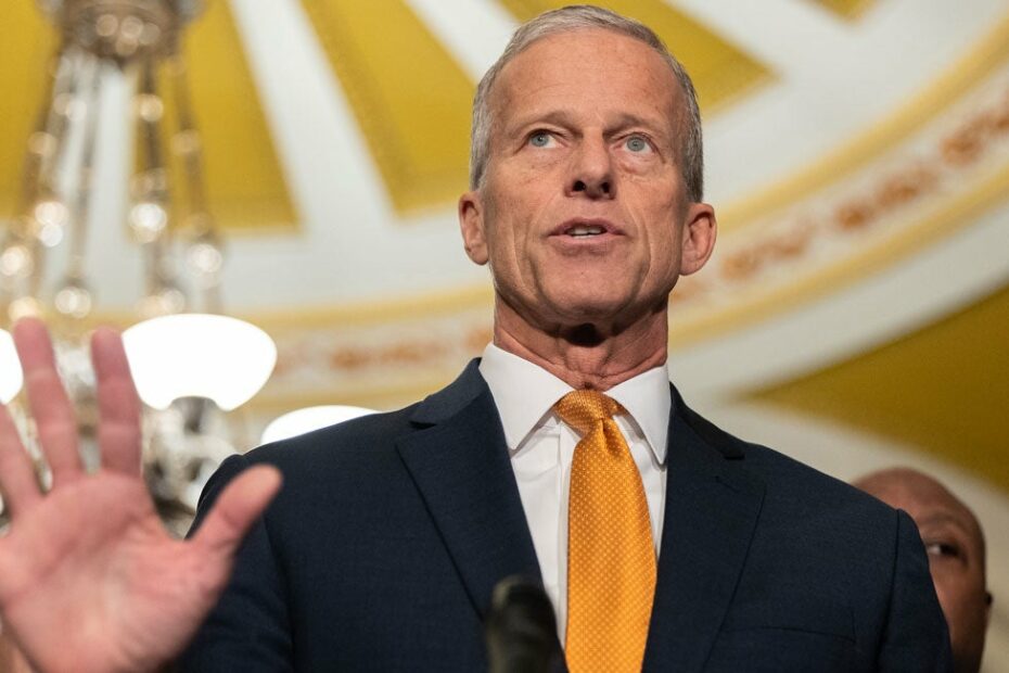 Time to End Shameful Charade of Democrats’ Schumer Shutdown