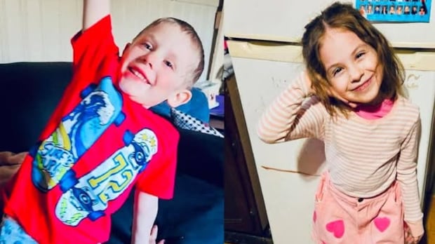 Witnesses describe hearing vehicle the night before N.S. children reported missing | CBC News