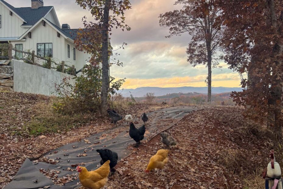 10 Life Things to Share