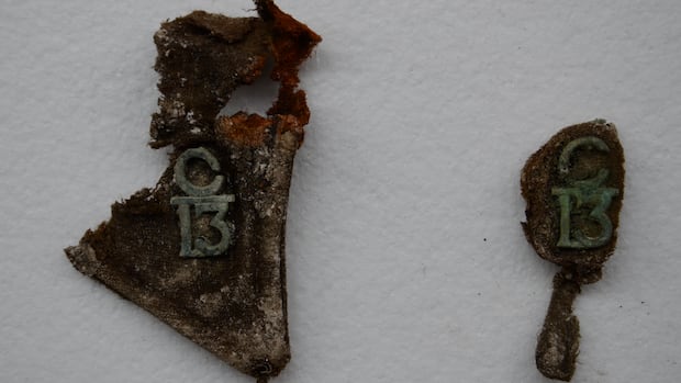 A St. John's soldier killed in France 108 years ago has caught the attention of historians | CBC News