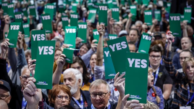 ANALYSIS | Pride flags, fluoride, abortion: Here's what UCP will push Danielle Smith to change next | CBC News