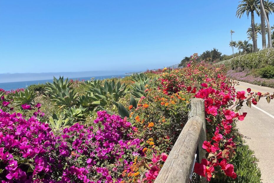 An Insider’s Guide to Santa Barbara: Where Wellness Meets Effortless Style
