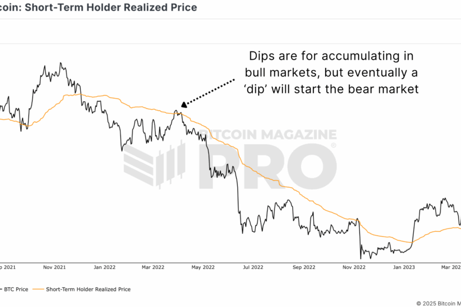 Bitcoin Price Dip Or New Bear Market?