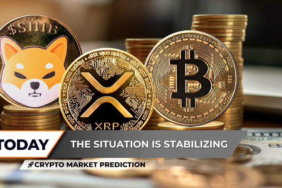Crypto Market Prediction: Can Bitcoin Break $90,000 on Recovery March? Shiba Inu (SHIB) Fresh Rally Starts, Is XRP Building Bullish Momentum? - U.Today