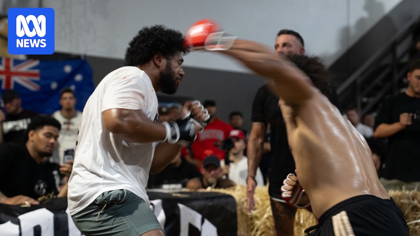 'Deeply disturbing' fighting competition argues it is helping men's mental health