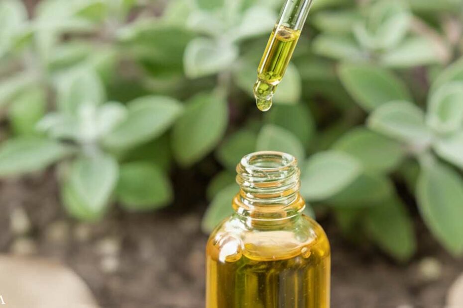 Essential Oil Compounds Show Blood Sugar and Antifungal Benefits