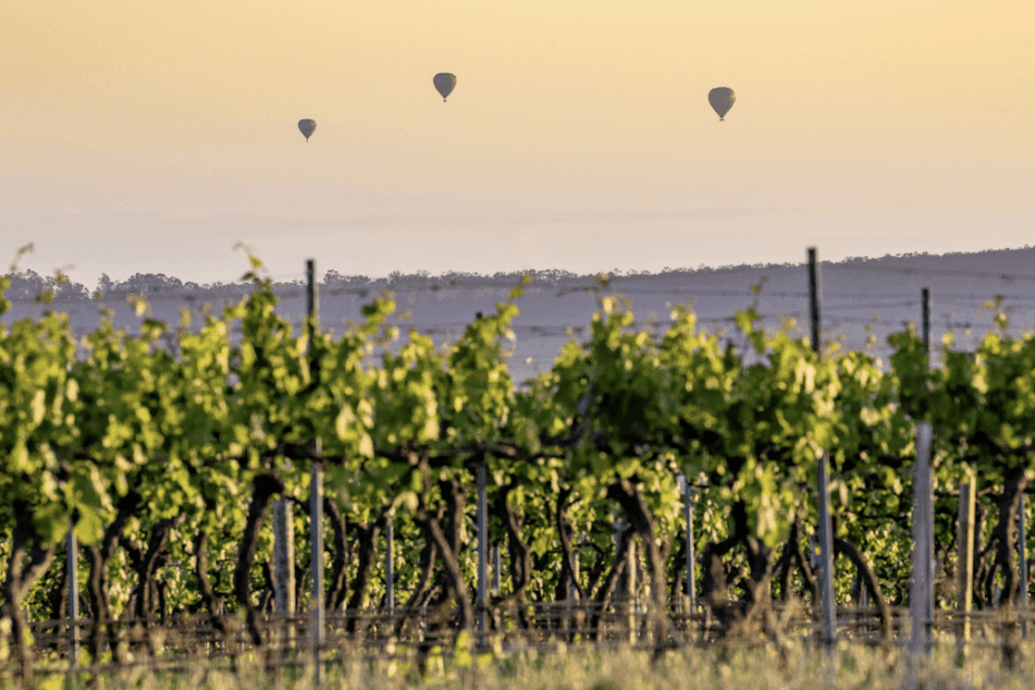 Exploring the Peaceful Countryside Towns Across Australia