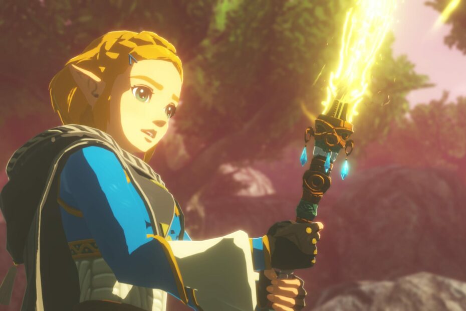 Age of Imprisonment Zelda with sword