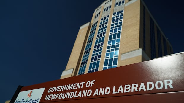 N.L. asks Deloitte to carry out review after 'incorrect' citations found in $1.6M provincial health plan | CBC News