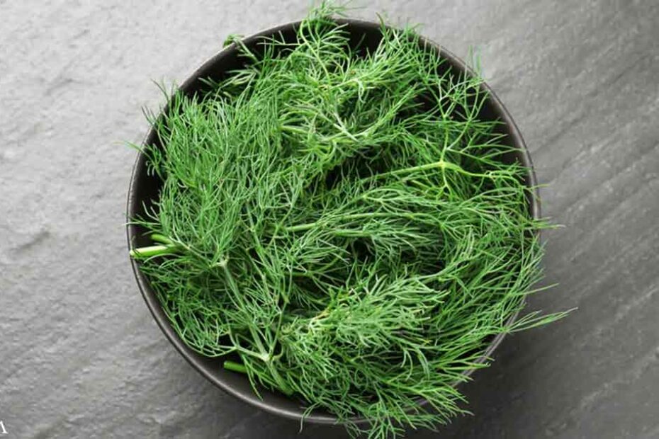 This Savory Herb Helps Relieve Muscle Cramps and Improve Digestion Naturally