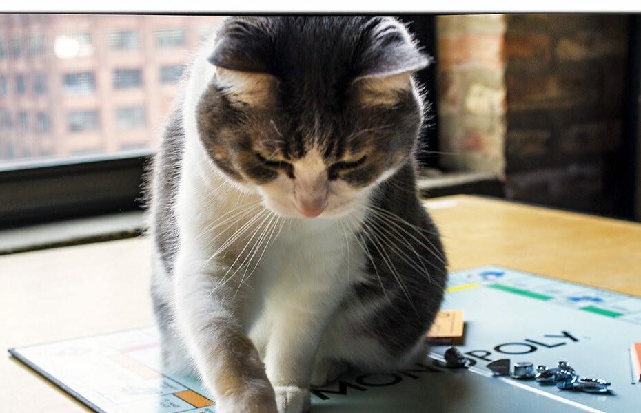 Trump's '50-Year Mortgage' Scheme Instantly Hated By Everyone Except Idiot Who Sold Him On It