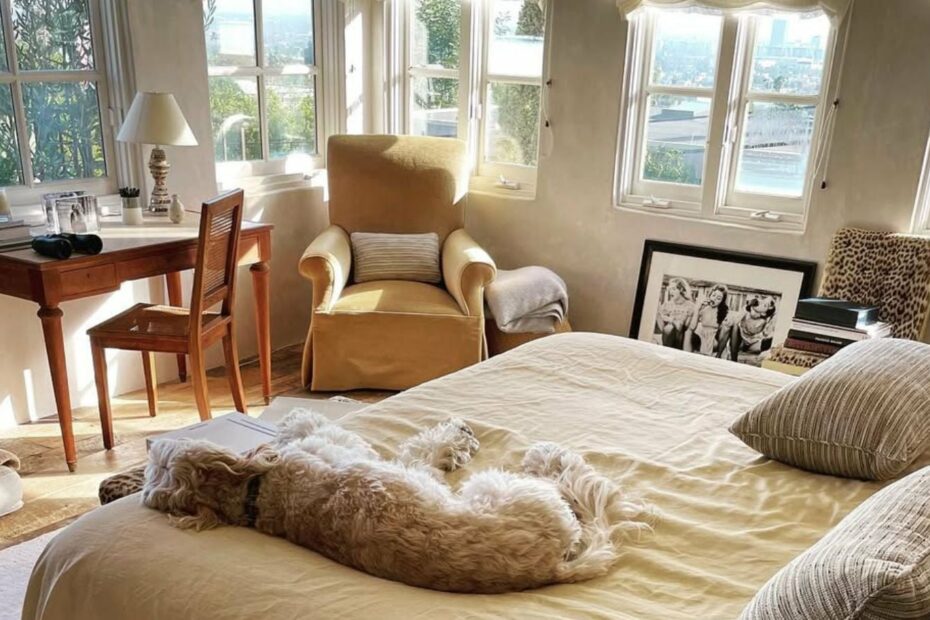 stylish bedroom filled with natural light. a dog is dozing on the bed