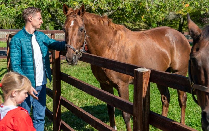 Irish National Stud & Gardens, County Kildare.