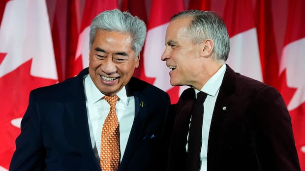 ANALYSIS | Is there a wrong way to gain a parliamentary majority? | CBC News