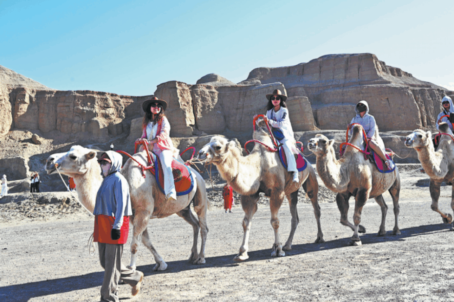 Tourists enjoy a camel ride in the Gobi Desert, in the Xinjiang Uygur autonomous region's Karamay. Photo/CHINA DAILY