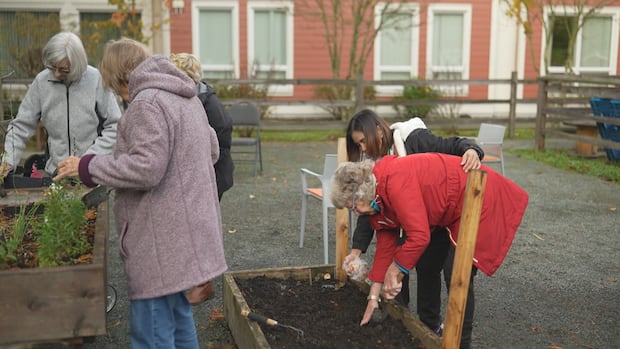 B.C. 'dementia village' draws national research interest as cases rise across Canada | CBC News