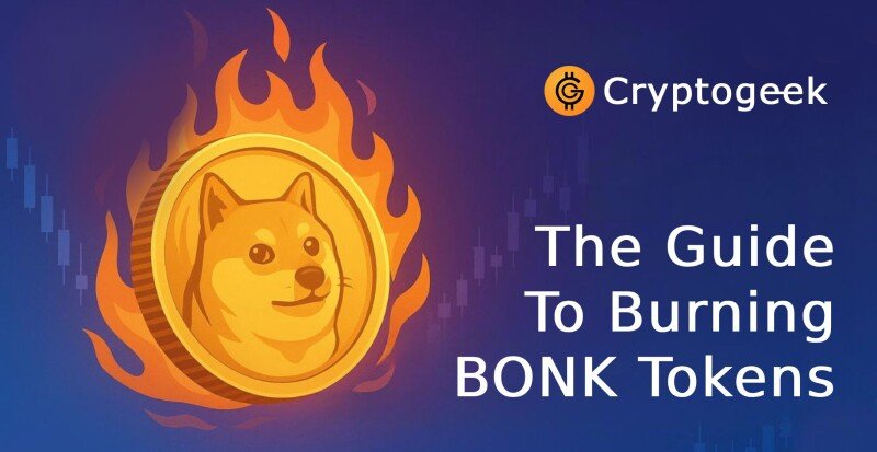 Bonk Burn: The Definitive Guide to Burning BONK Tokens