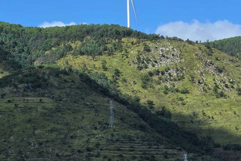 China’s story of rural revitalisation