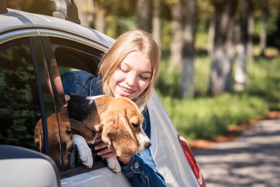 Crossing State Lines, The New 2026 Laws That Make Transporting Certain Pets Illegal - Idyllic Pursuit