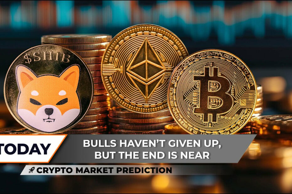 Crypto Market Prediction: Is Shiba Inu (SHIB) Dream Rally Ending? Ethereum Brutally Denied After Fakeout, Bitcoin (BTC) Not Giving up $100,000 - U.Today