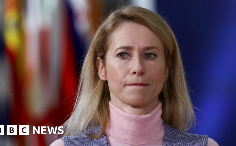 EU's top diplomat rejects Russian claims of Ukrainian attack on government sites