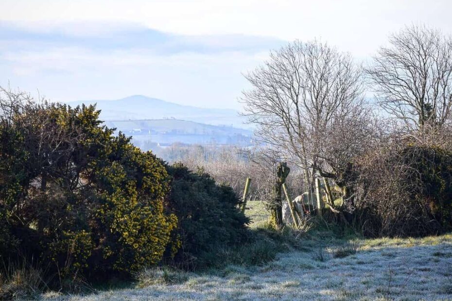 Fox Hunting and Political Evasion