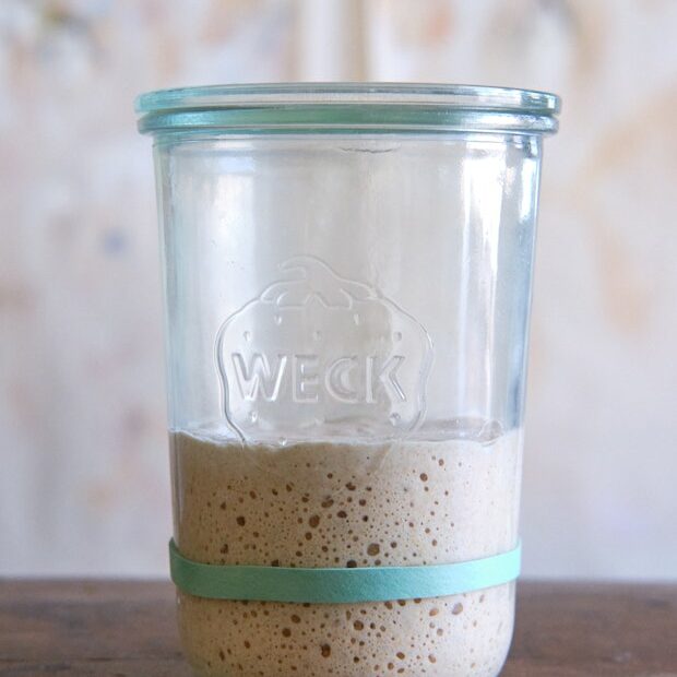 Sourdough starter in a glass jar