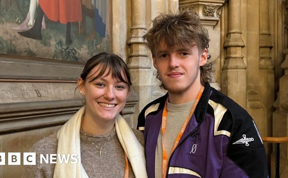 'It has the X-factor' - the view from the Commons public gallery