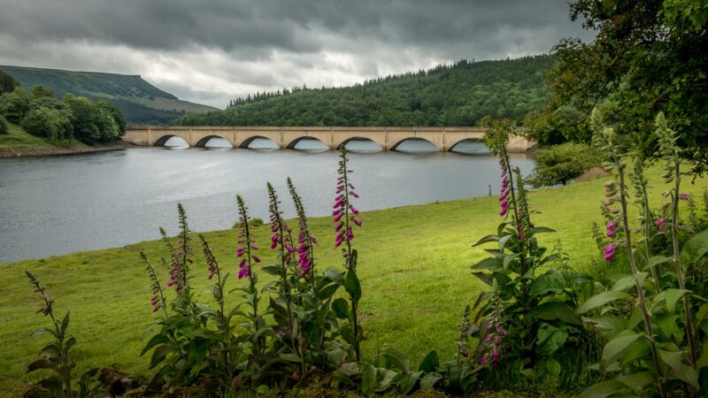 'Labour’s new environmental plan can bring a reset in how it talks about nature' - LabourList