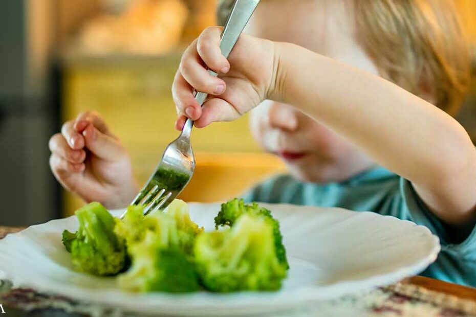 Limiting Sugar Early in Life Builds Stronger Hearts and Healthier Futures