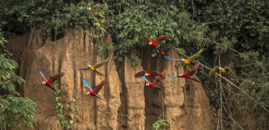 Natural Wonders of the World | Enchanting Travels