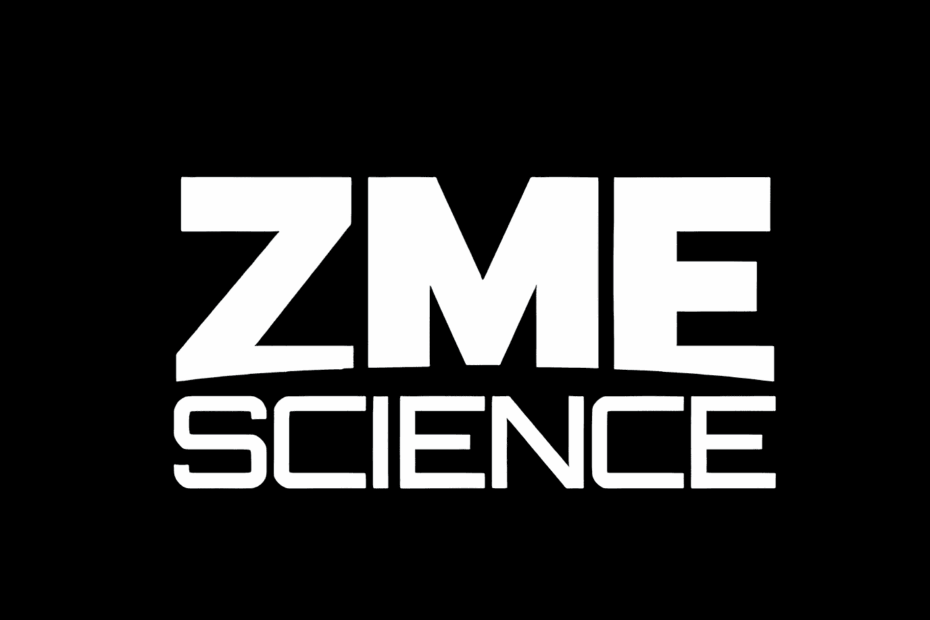 Our Favorite Science Stories That Stuck With Us From 2025