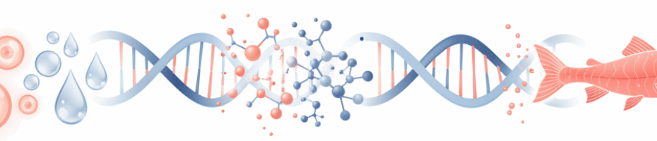 Visual diagram showing PDRN extraction from salmon DNA and its transformation into skin rejuvenation serum