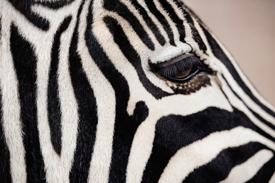 Rare disease treatment changes: communication is critical - FINN Partners