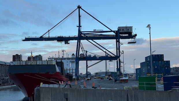 Residents of Quebec town worry Port of Montreal expansion will ruin their 'natural treasure' | CBC Shows