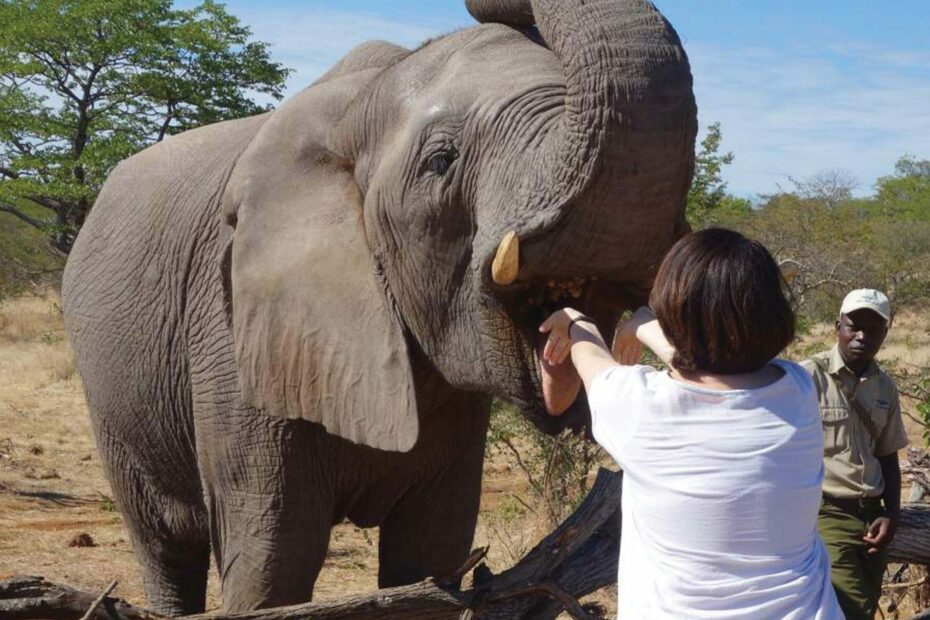 Stories of conservation and community across Africa - The Taucker Travel Blog