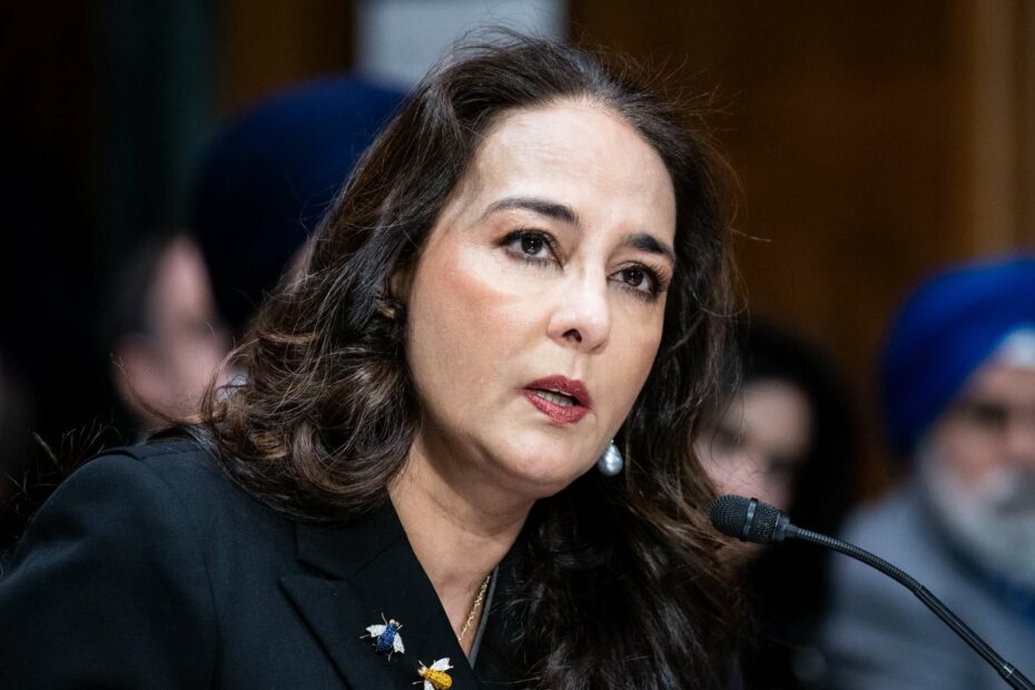 The DOJ assails D.C.'s 'assault weapon' ban as an arbitrary, historically ungrounded gun law